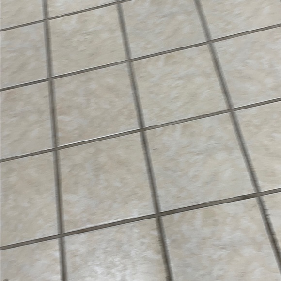 Meet your Posher, Riley - Picture 1 of 1